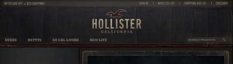 ホリスター - Hollister Co. - 海外通販・個人輸入　直接購入ガイド